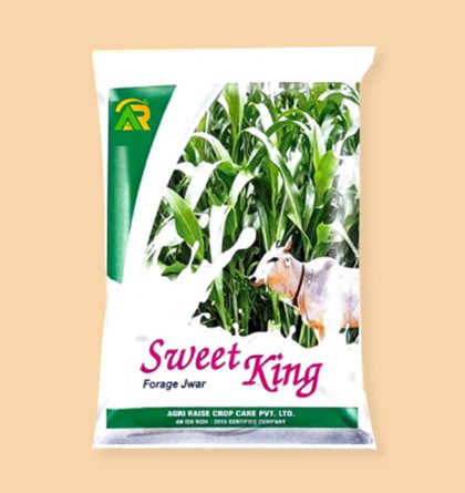 Customer Choice Award