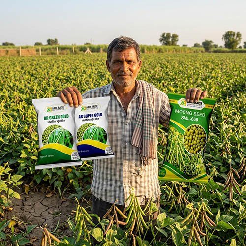 Best Moong Seed Varieties for Higher Yield in India