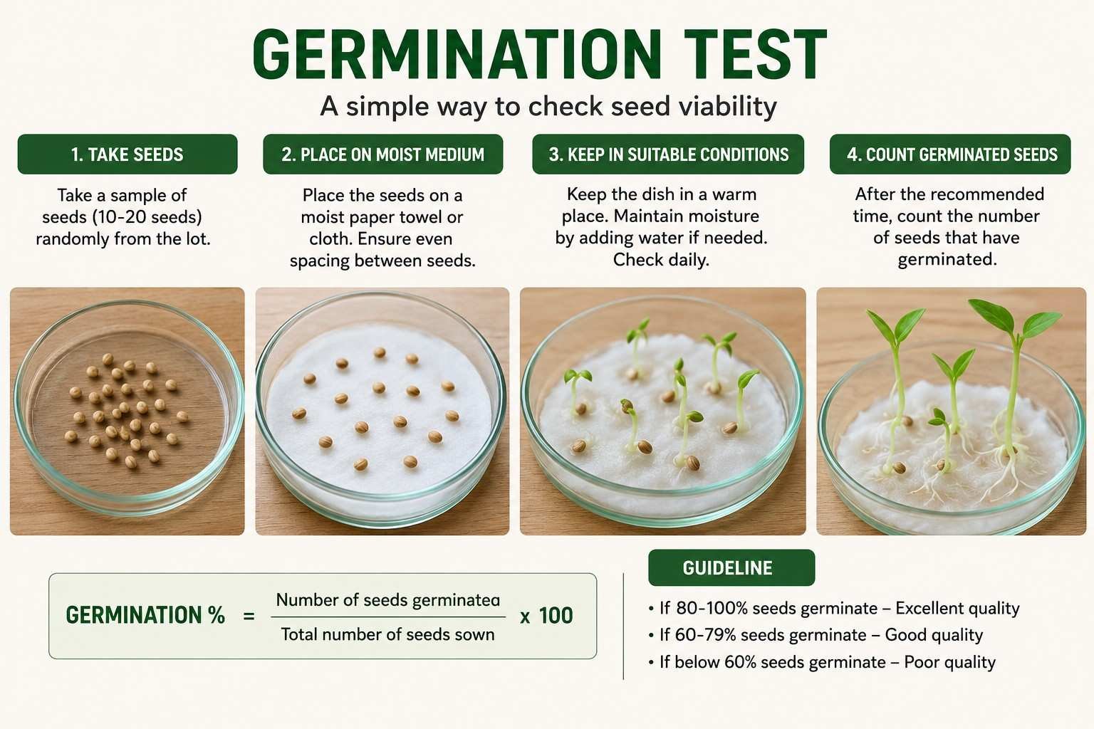 What Are Good Quality Seeds and Why Do They Matter?