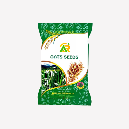 Oats Seeds