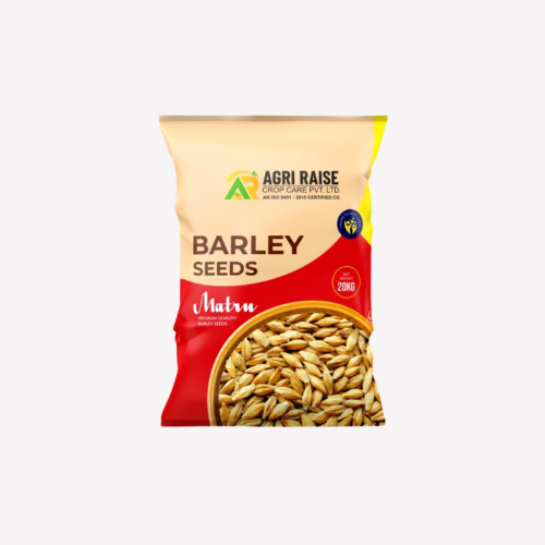 Matru – Barley Seeds
