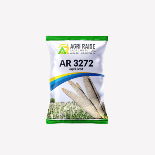 AR 3272 – Bajra Seeds