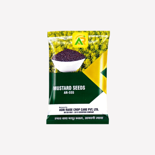 AR-555 – Mustard Seeds