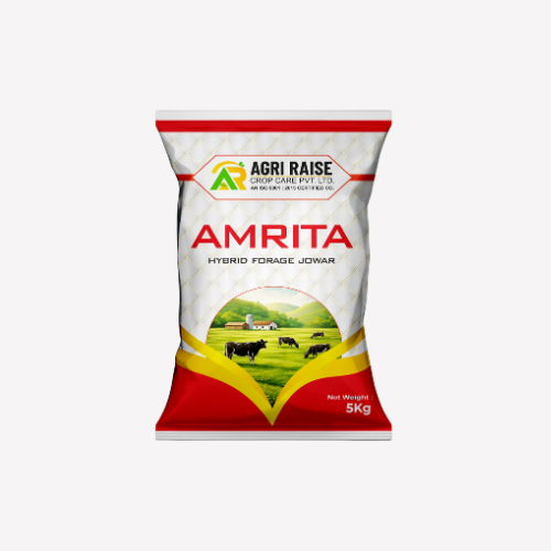 AMRITA– Hybrid Forage Jowar