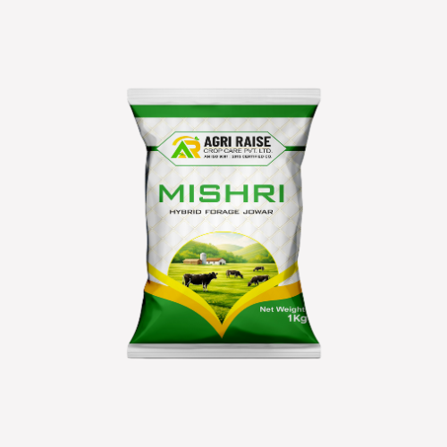 MISHRI – Hybrid Forage Jowar