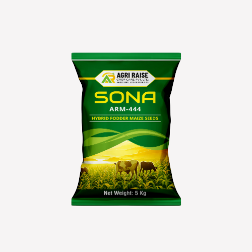 SONA ARM-444 – Hybrid Fodder Maize Seeds