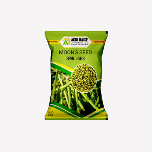 Moong Seed – SML-668
