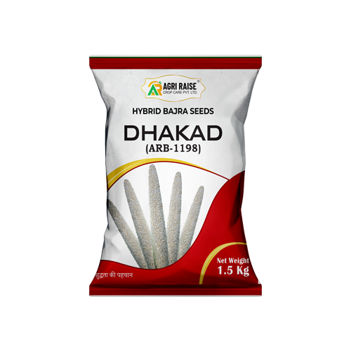 DHAKAD (ARB-1198) – Hybrid Bajra Seeds