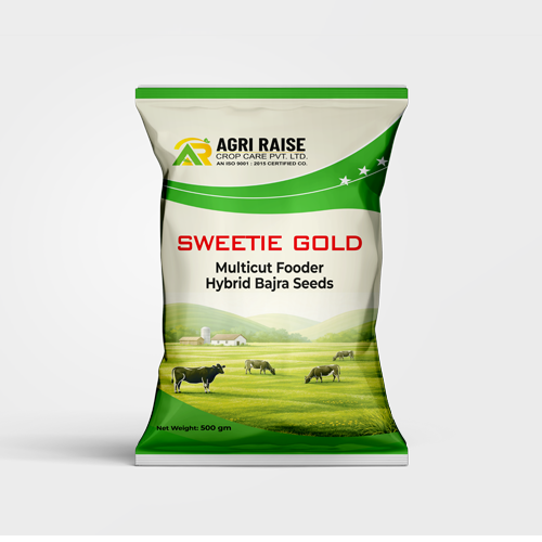 SWEETIE GOLD – Multicut Fodder Hybrid Bajra Seeds