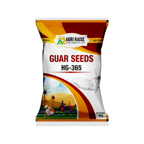 HG-365 – Premium Guar Seeds