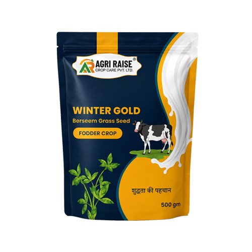 WINTER GOLD – Hadu Berseem Grass Seed - Agri Raise