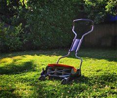 Insecticides/ Fungicides