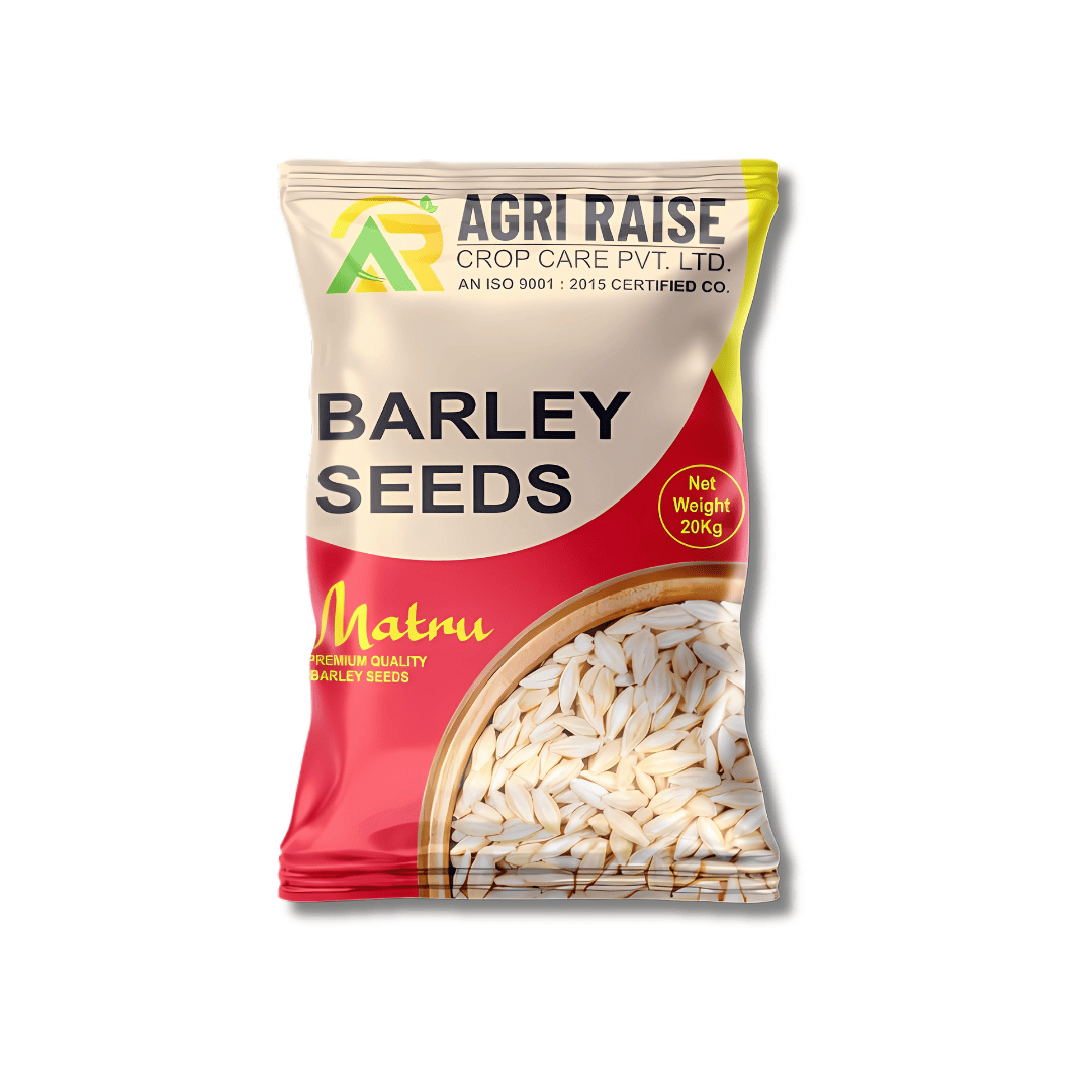 Matru Research Barley Seeds