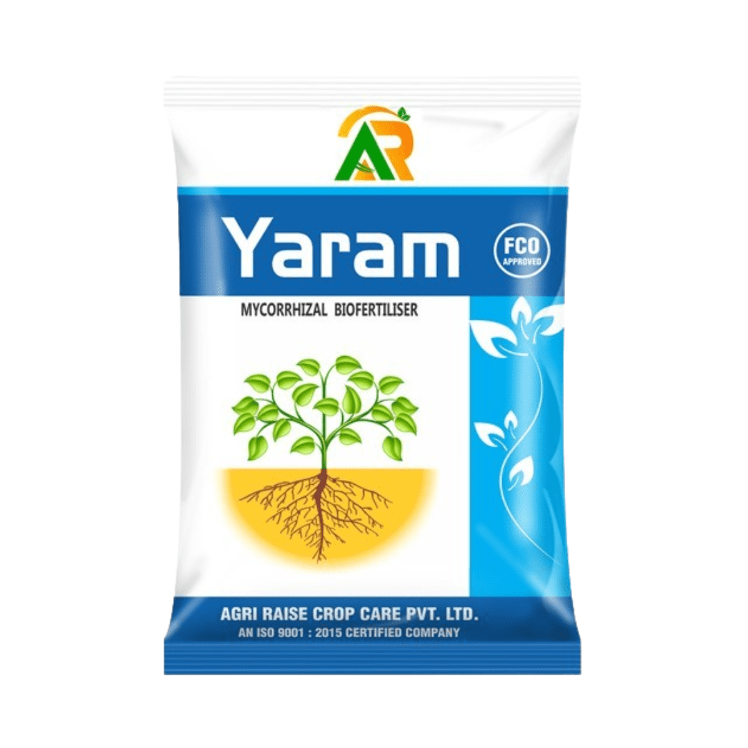 Yaram  (Mycorrhiza GR)