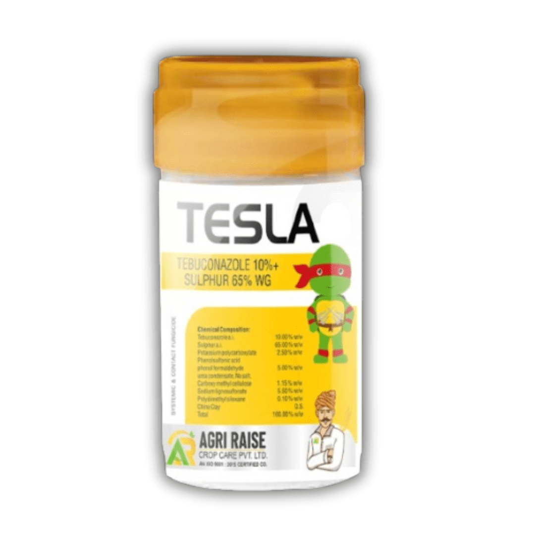 Tesla (Tebuconazole 10% + Sulphur 65% WG)