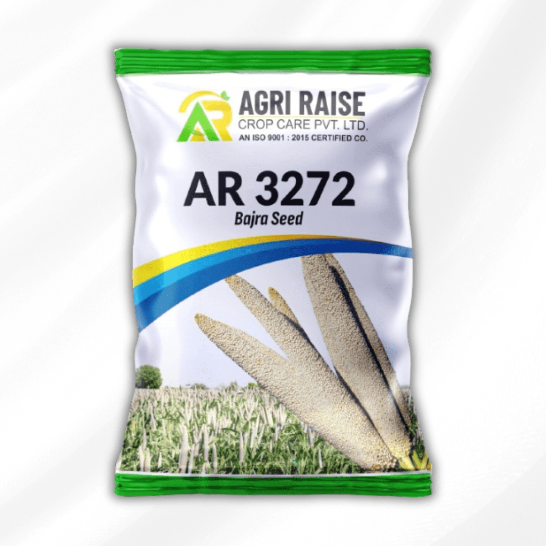 AR 3272 (Research Bajra Seeds)