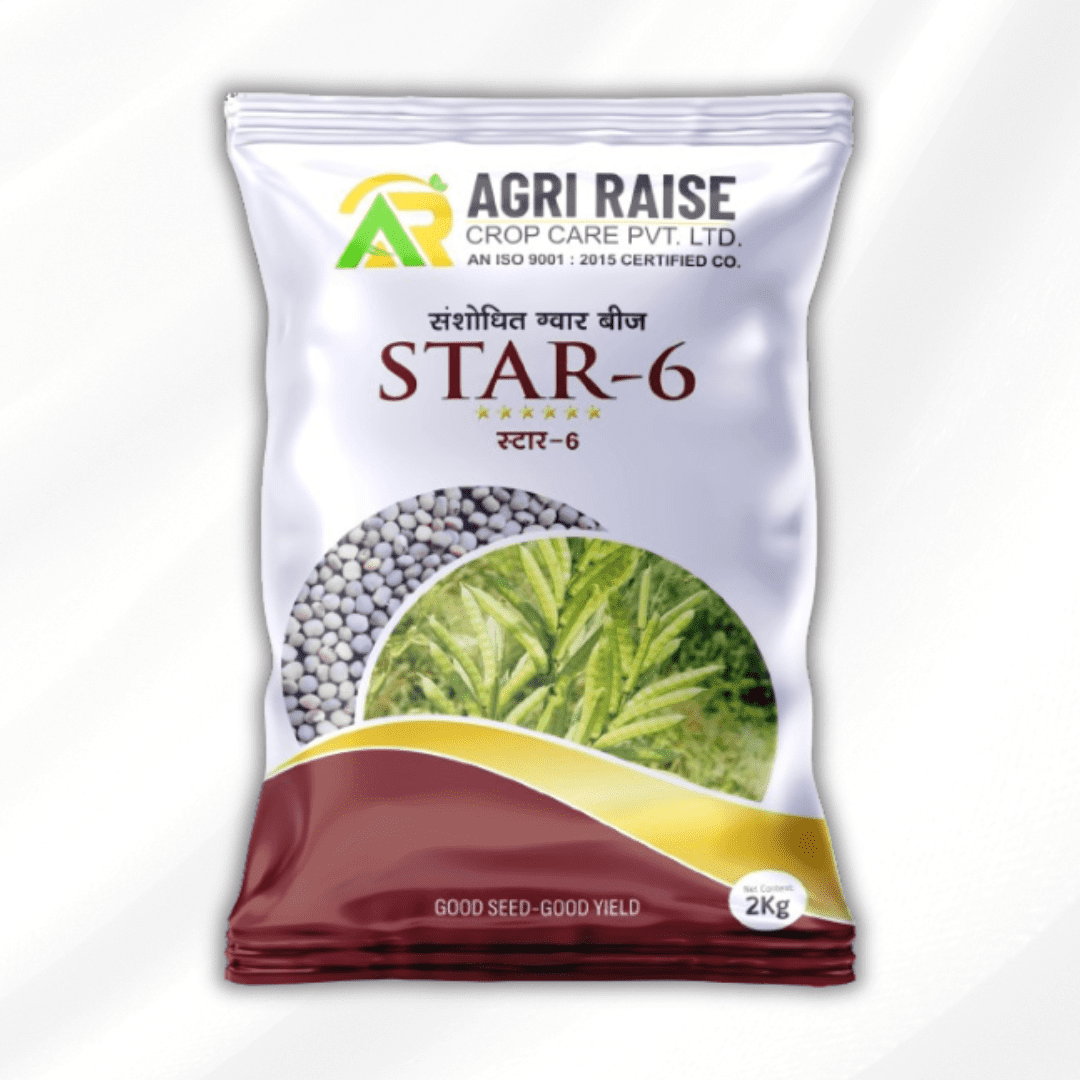 Star-6 (Research Gwar Seeds) - Agri Raise Crop Care Pvt Ltd